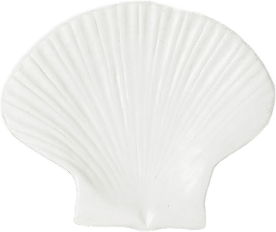 Assiett Shell S, från Byon, i färgen White.