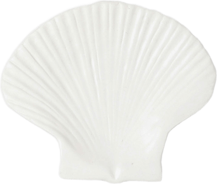 Assiett Shell M, från Byon, i färgen White.