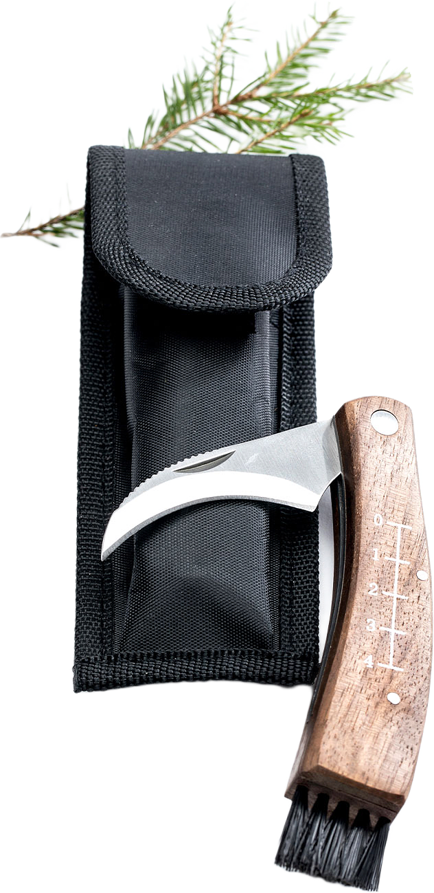 Svampkniv Med Fodral