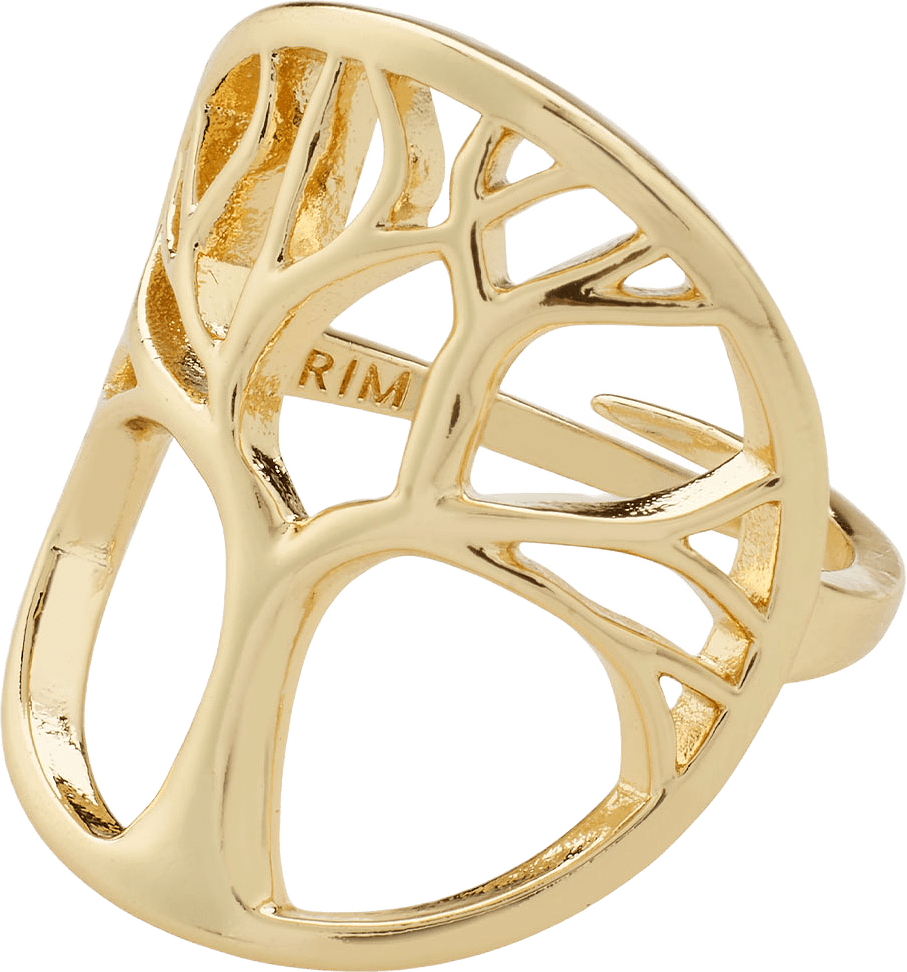 Alia Ring, från Pilgrim, i färgen Gold Plated.