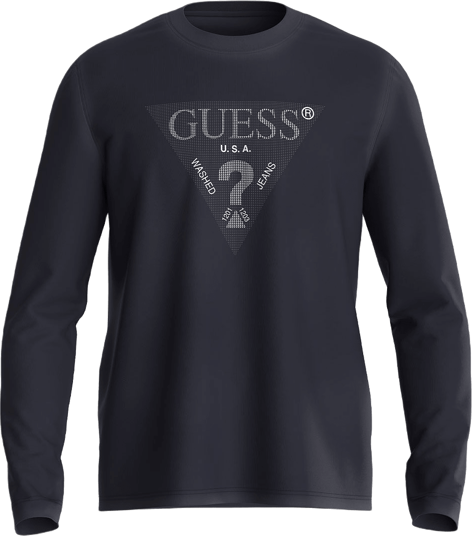 Ls Cn Triangle Tee T-Shirt, från Guess, i färgen Smart Blue.