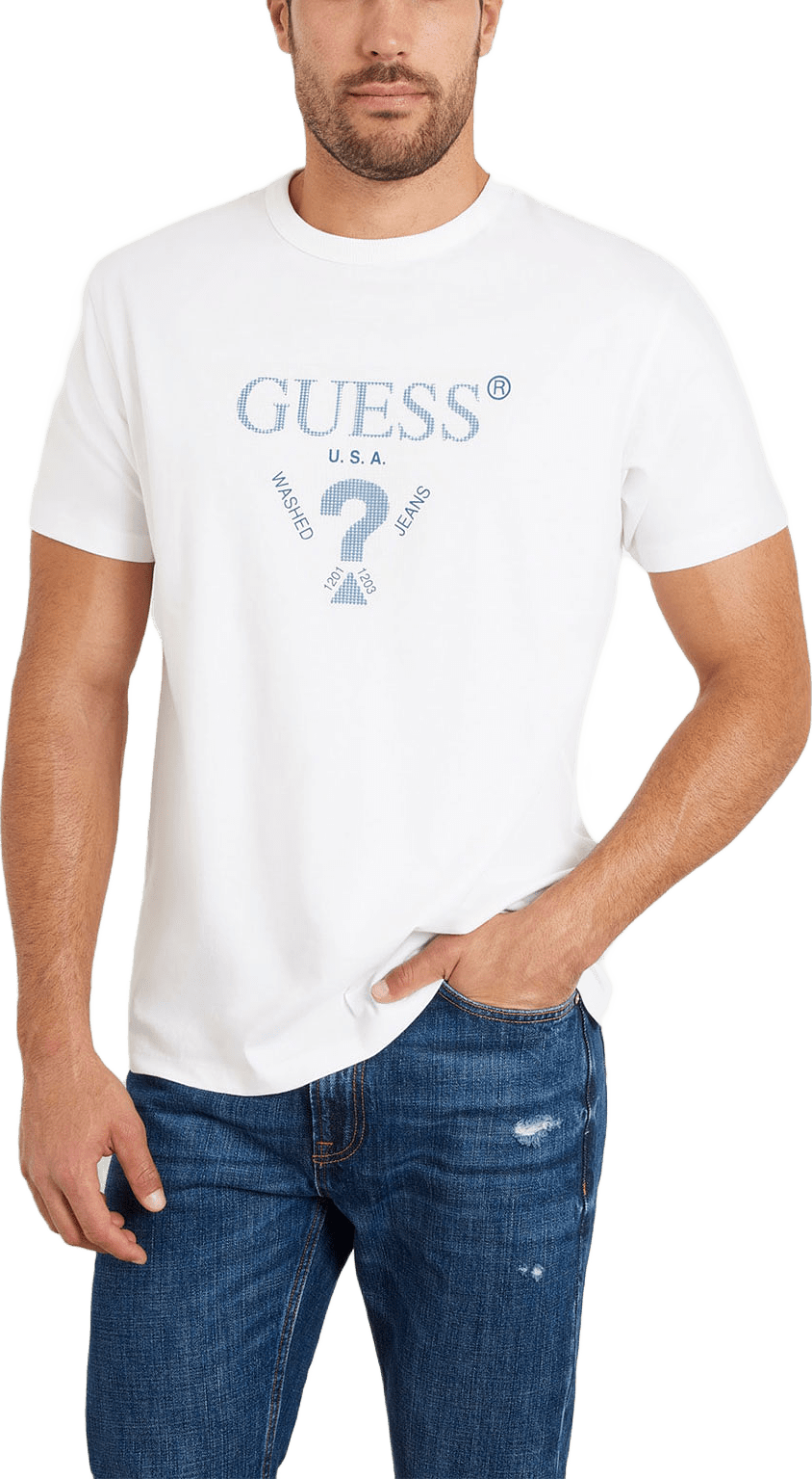 Ss Cn Treated Triang T-Shirt, från Guess, i färgen Pure White.