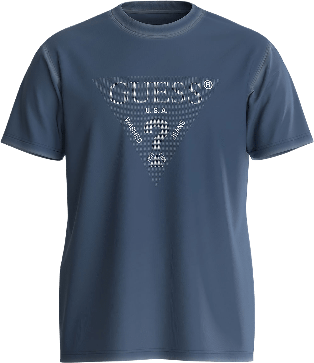 Ss Cn Treated Triang T-Shirt, från Guess, i färgen Pennant Blue.
