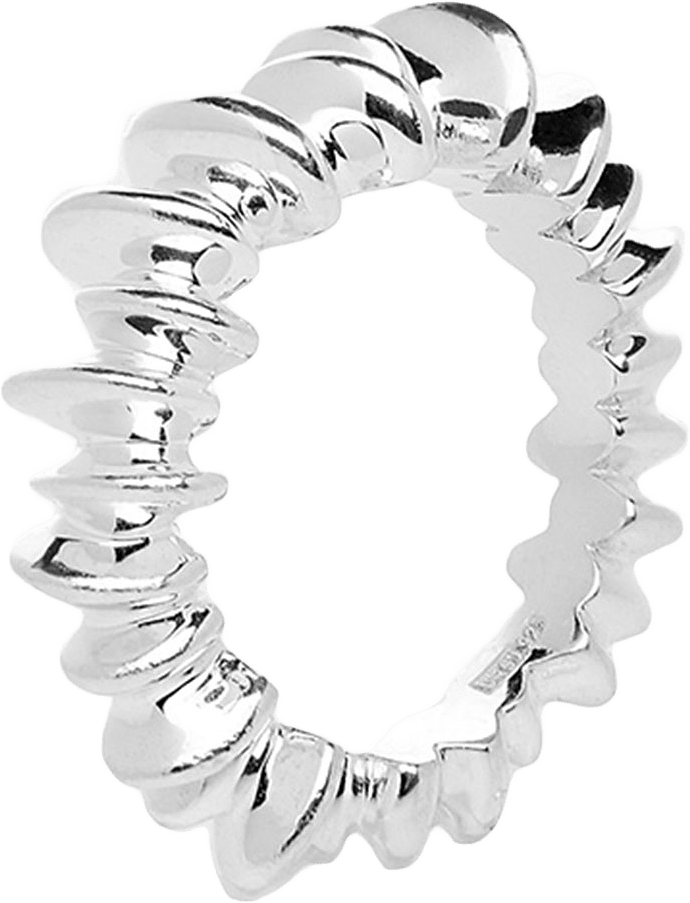 Les Roches Ring, från Drakenberg Sjölin, i färgen Silver.