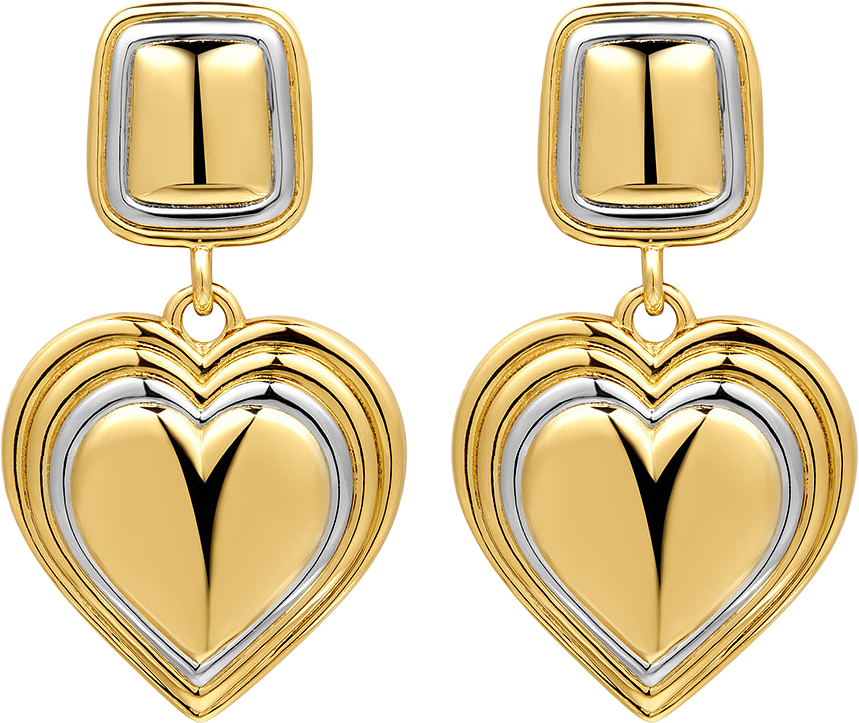 Two-Tone Heart Earrings