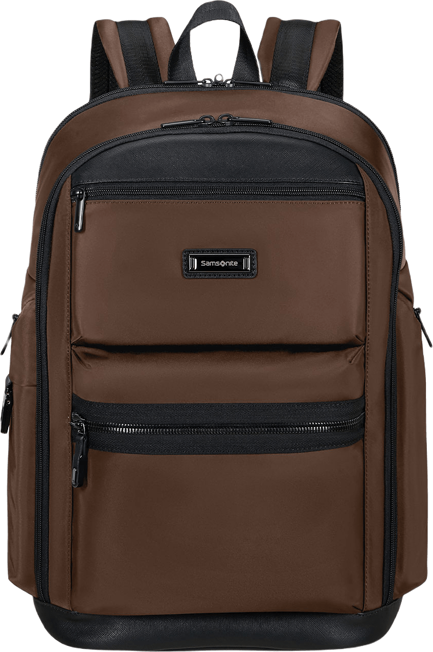 Dataryggsäck för 15,6 Tum Laptop, från Samsonite, i färgen Brown.