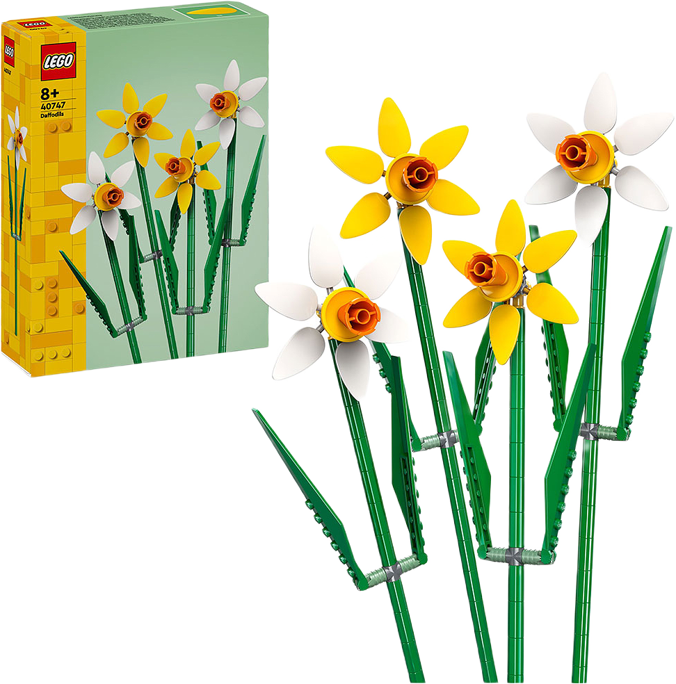 Påskliljor 40747, från Botanicals.