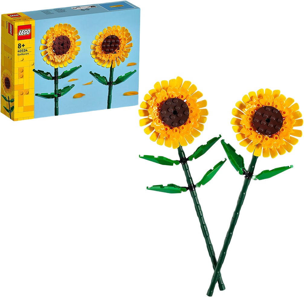 Solrosor 40524, från Botanicals.