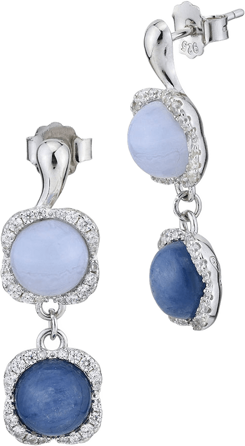 Fleur Örhängen, från Bottega Boccadamo, i färgen Silver/ Blue.