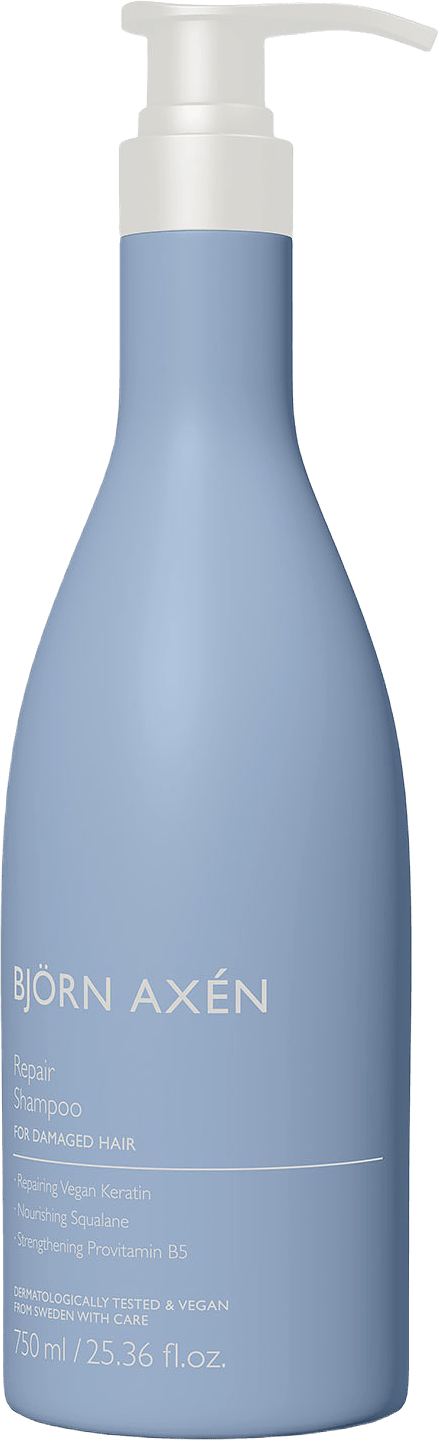 Björn Axén Repair Shampoo