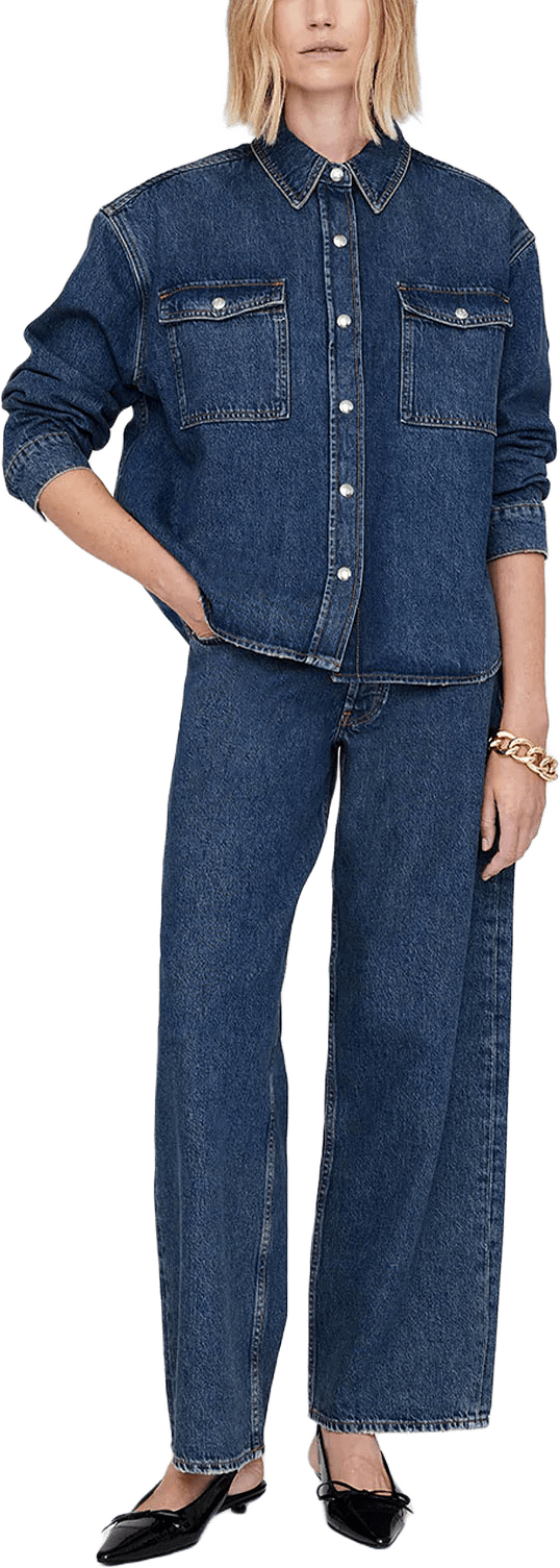 Paxton Shirt, från Anine Bing, i färgen Blue.