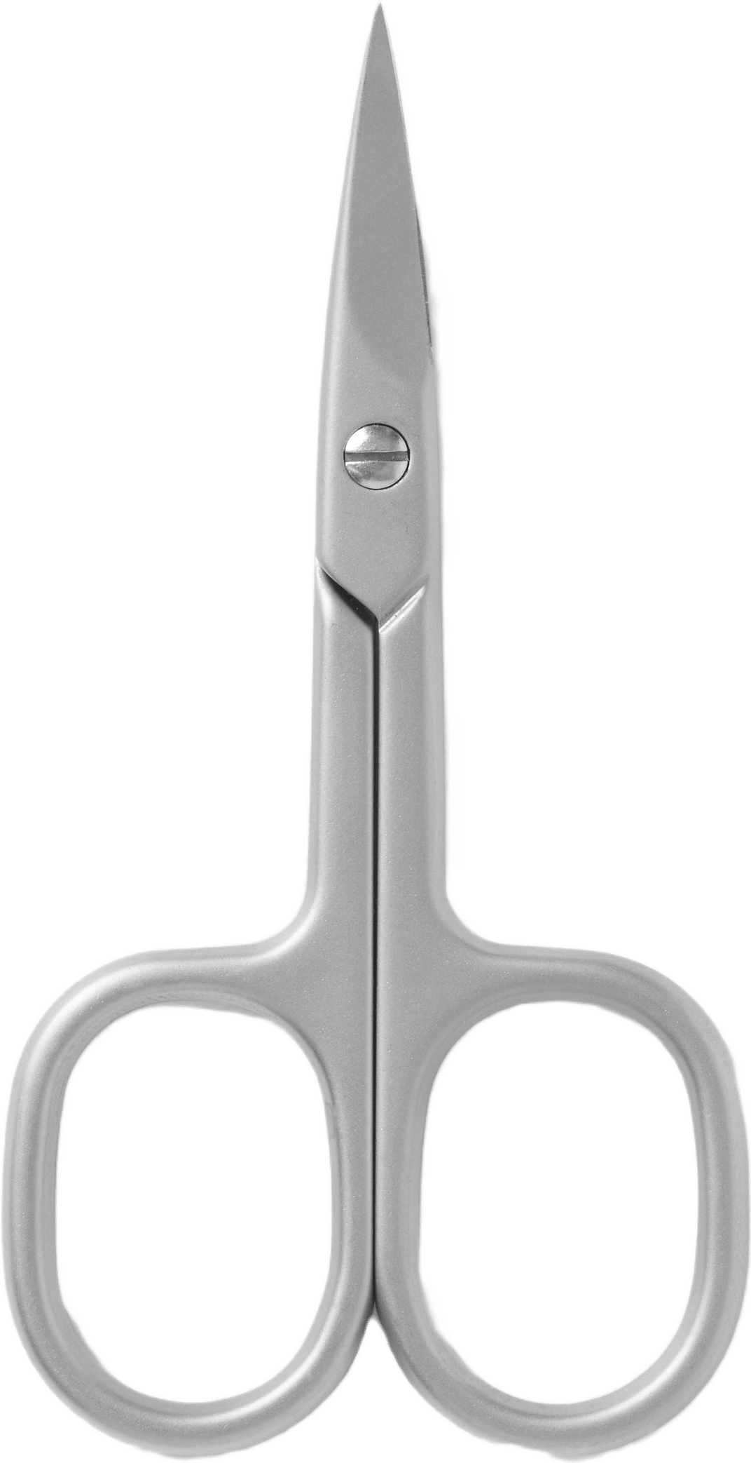 Nagelsax
