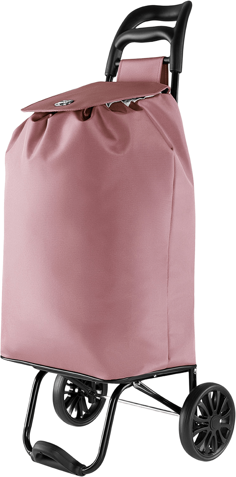 CityXShopper Ergo DustyROSE, från Epic, i färgen Dustyrose.