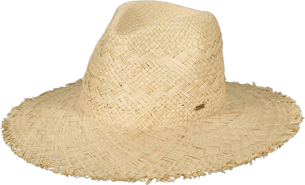 Celyse Hat, från Barts, i färgen Natural.