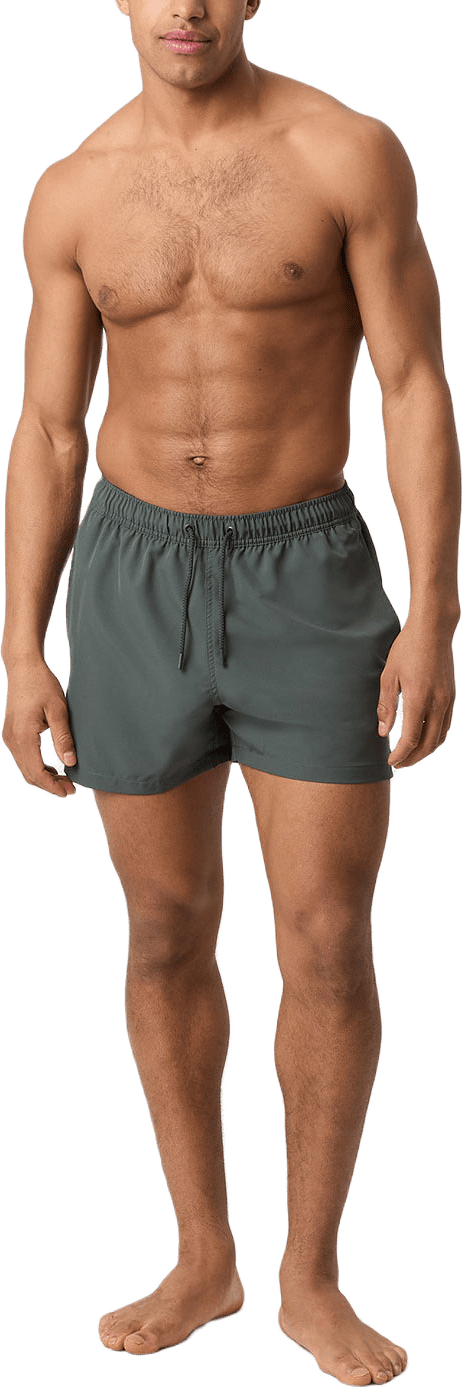 Borg Solid Swim Shorts, från Björn Borg, i färgen Urban Chic.