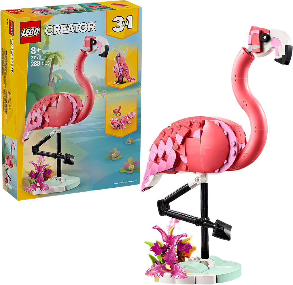 Vilda djur: Rosa flamingo
