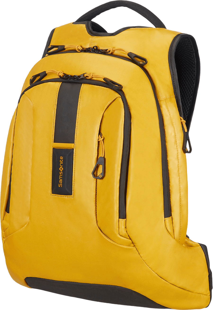 Samsonite Dataryggsäck Paradiver