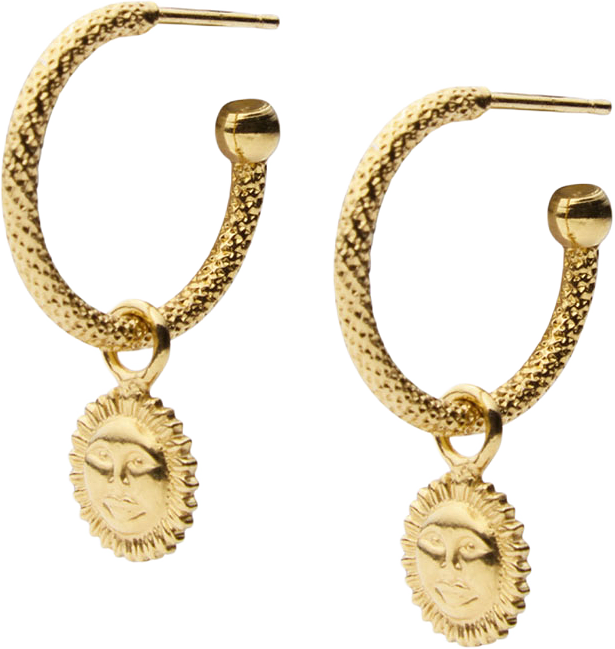 Apollo Loops Earrings, från Caroline Svedbom, i färgen Gold.