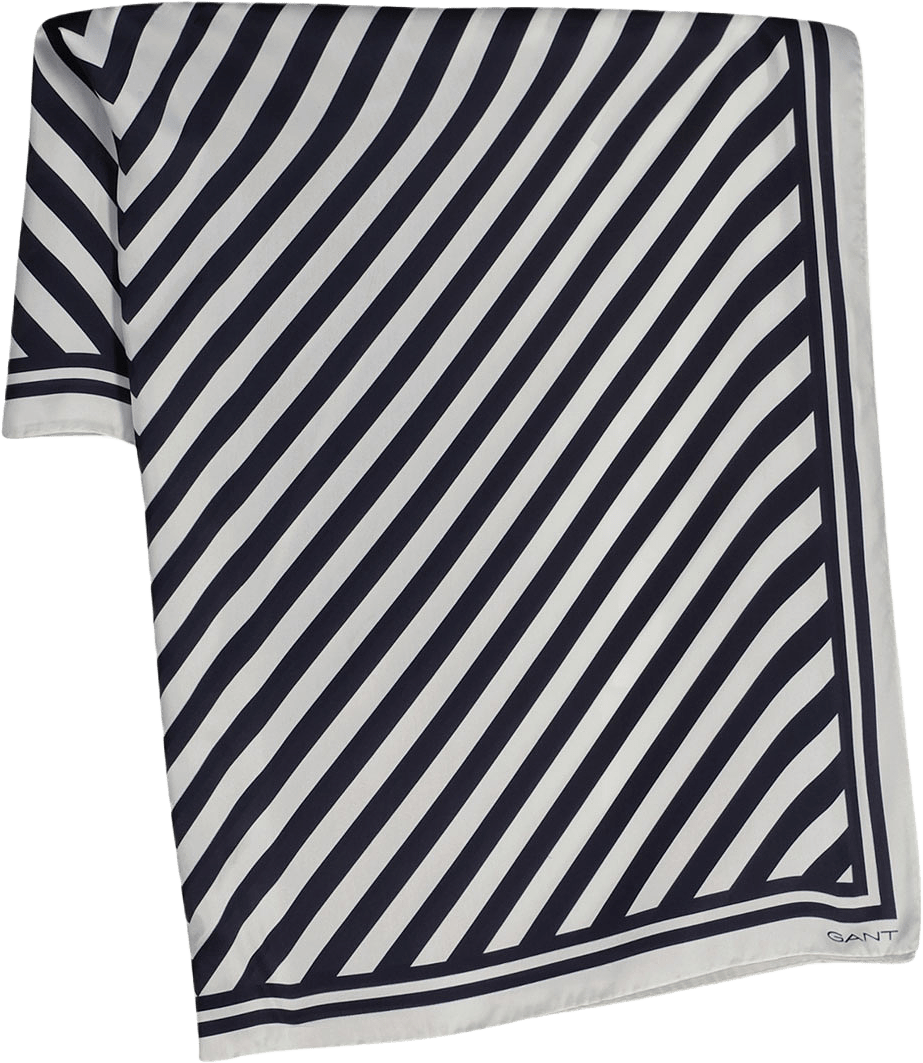 Chevron Print Silk Scarf