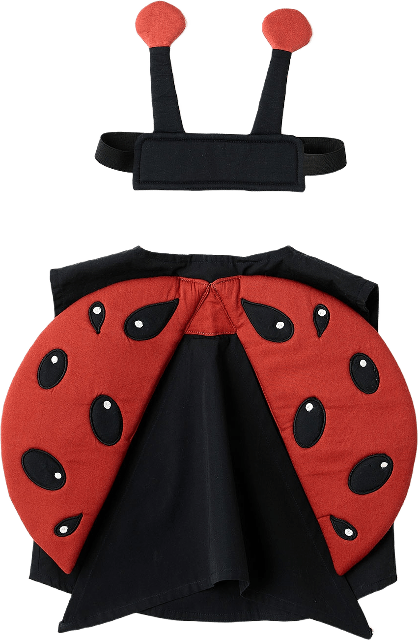 Utklädnad Nyckelpiga