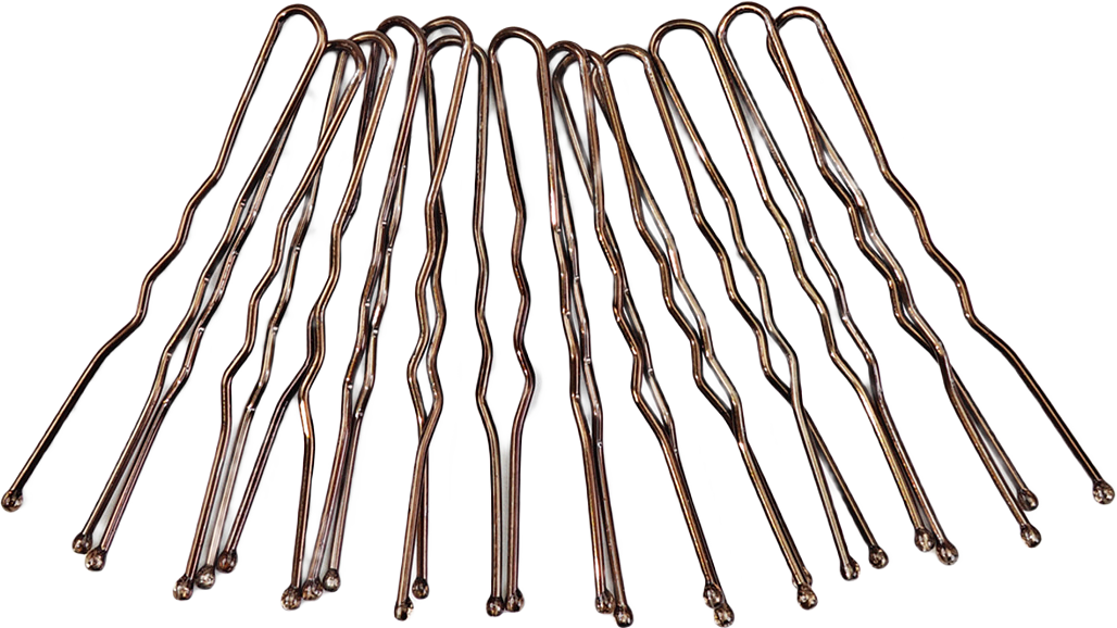 Hårnålar 10-pack, från Å BEAUTY, i färgen Brown.