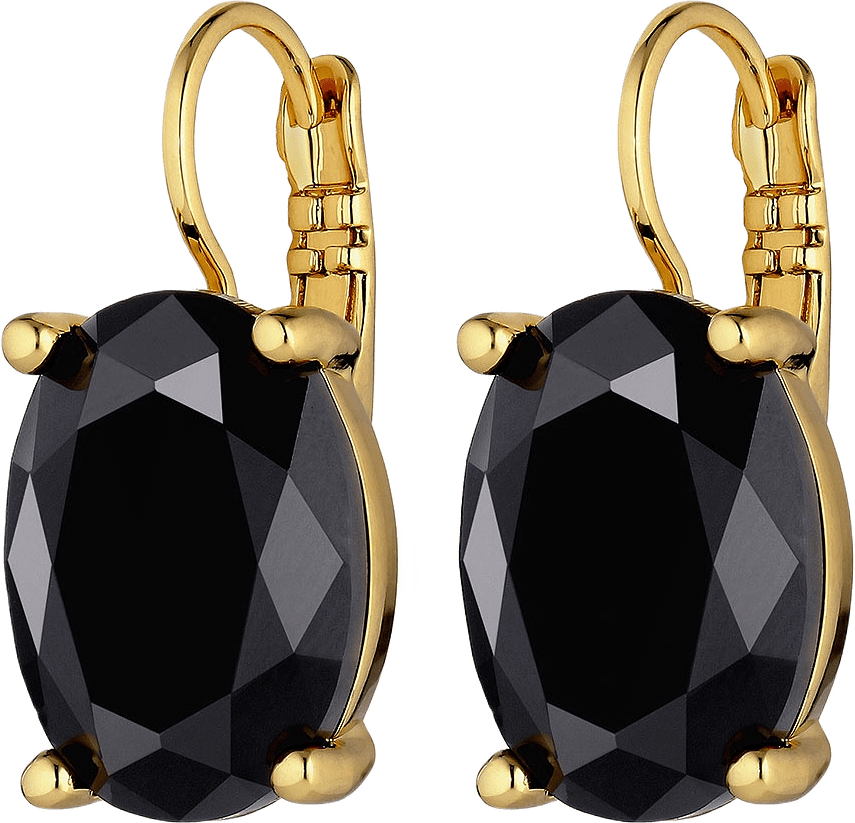 CHANTAL BLACK Örhänge, från Dyrberg & Kern, i färgen Sb Black.