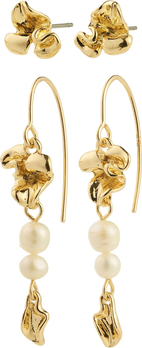 Luis Earrings 2-In-1 Set, Gold-Plated, från Pilgrim, i färgen Gold Plated.