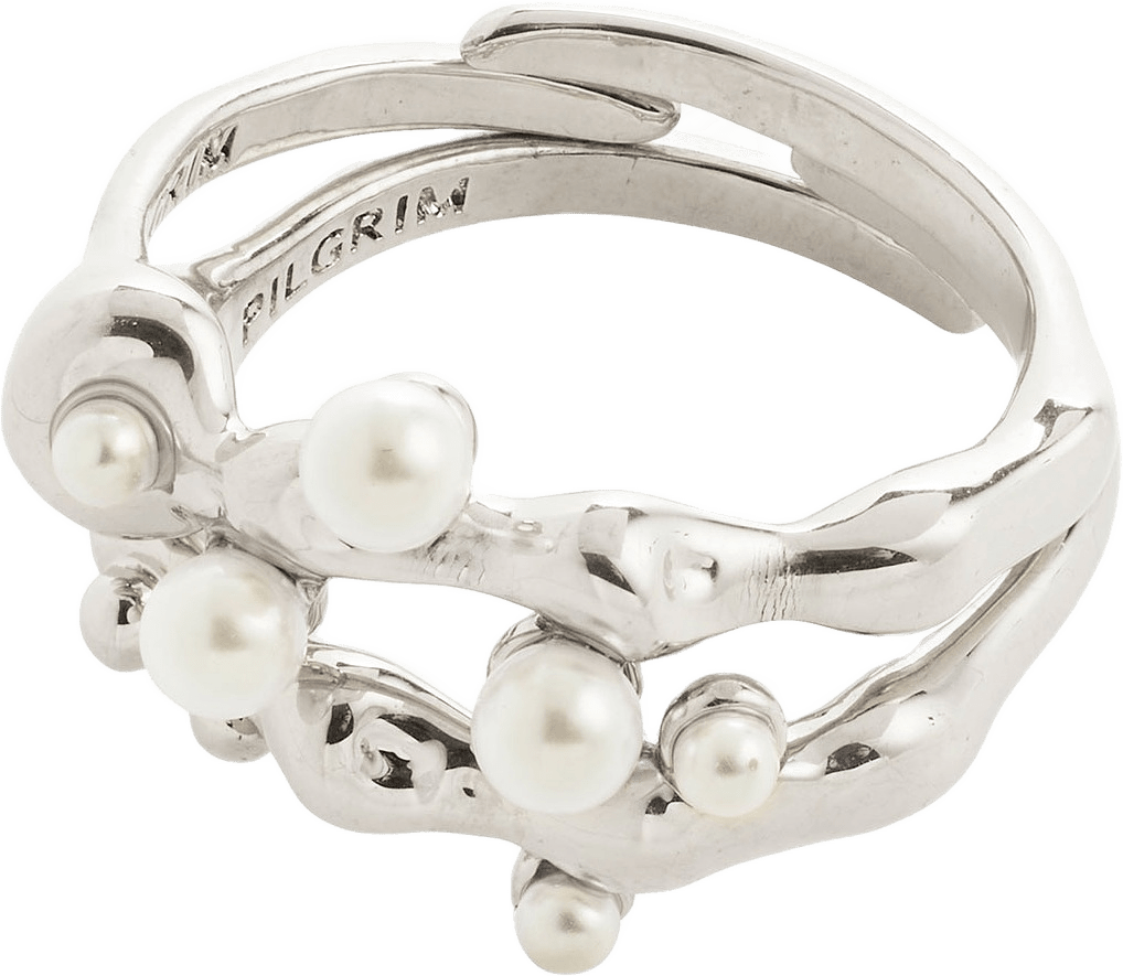 Hadley Rings, 2-In-1 Set, Silver-Plated, från Pilgrim, i färgen Silver Plated.