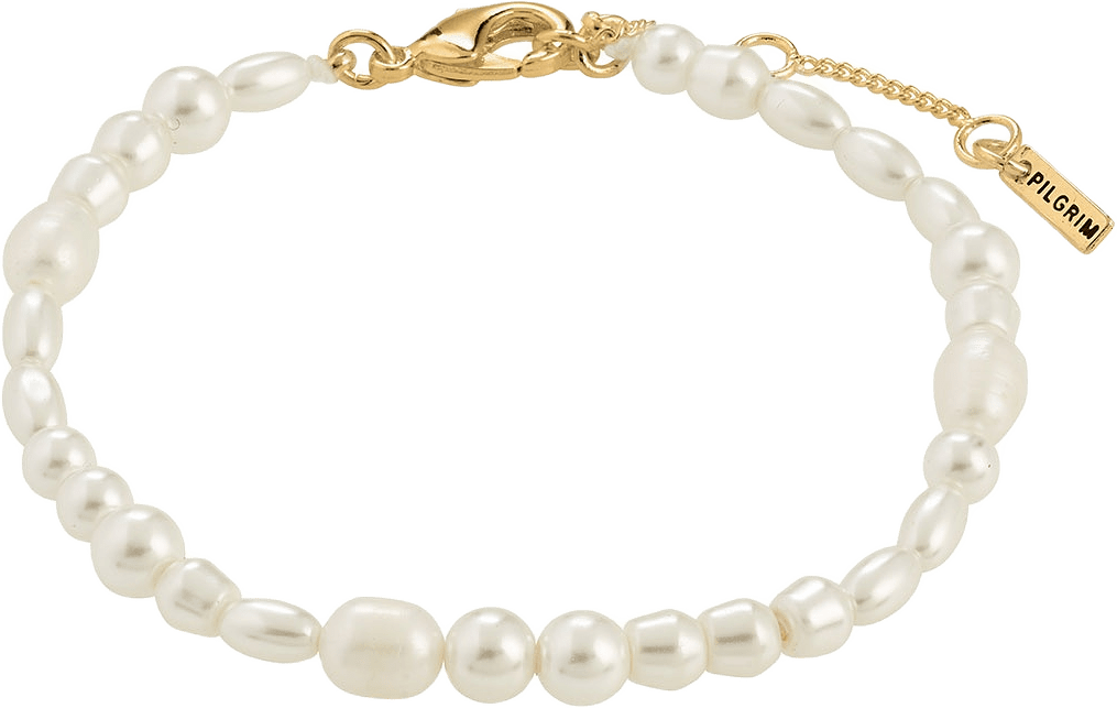 Elliana Bracelet Gold-Plated, från Pilgrim, i färgen Gold Plated.