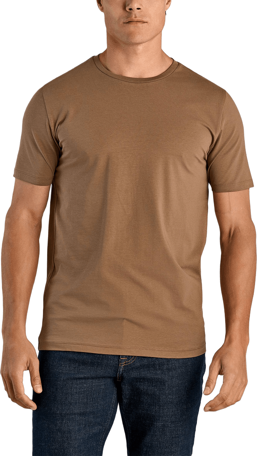 Mens Stretch Crew Neck Tee, från Lindbergh, i färgen Brown.