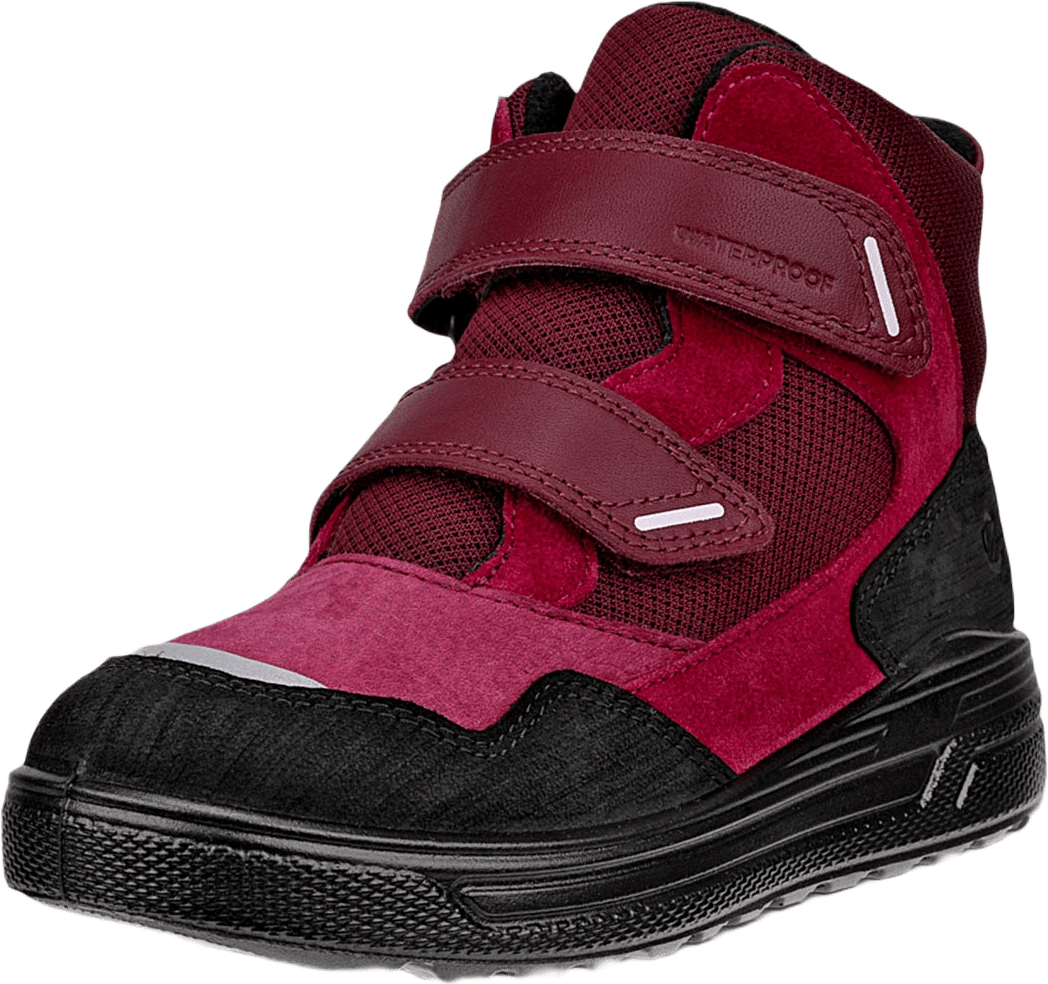 Urban Snowboarder, från ECCO, i färgen Black/Red Plum/Dark Ruby.