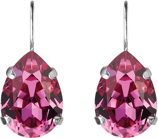 Mini Drop Clasp Earrings, från Caroline Svedbom, i färgen Rhodium.