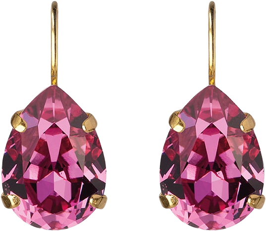 Mini Drop Clasp Earrings, från Caroline Svedbom, i färgen Gold.