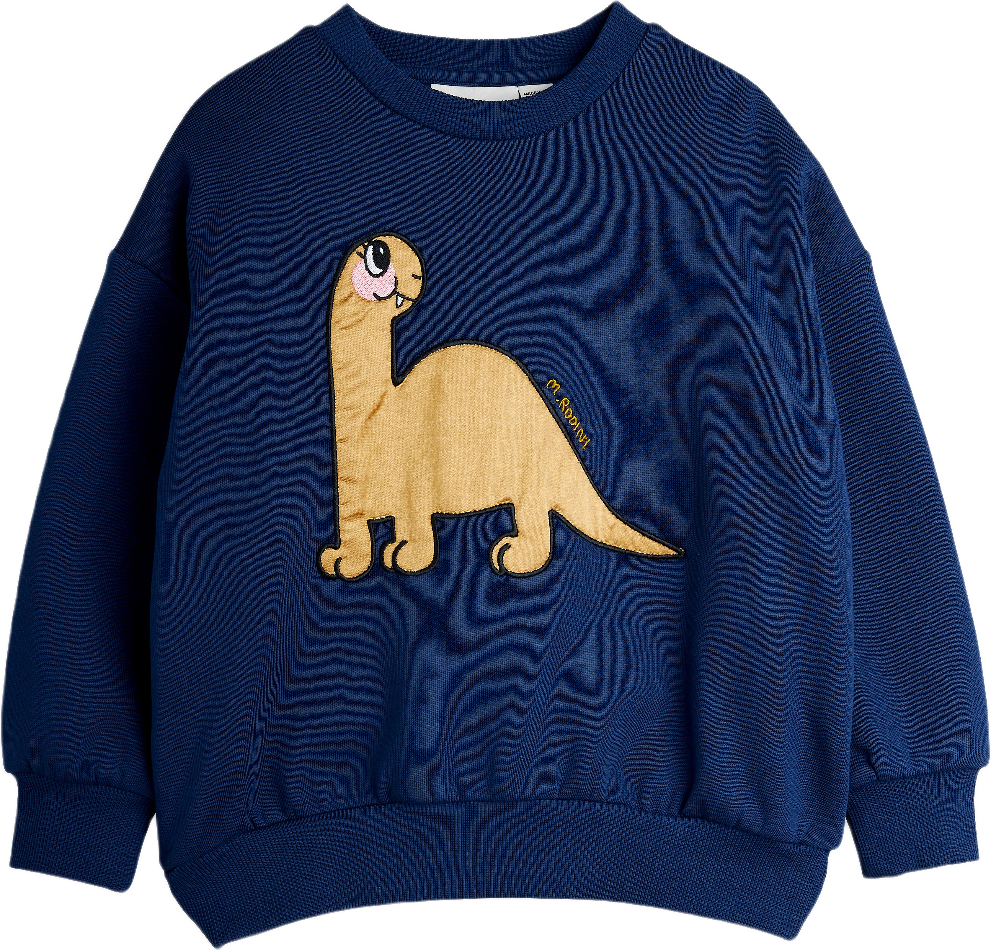 Dino Application Sweatshirt