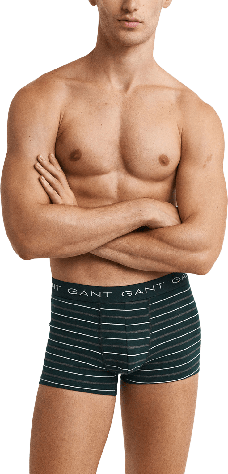 3-Pack Striped Trunks Gift Box, från GANT, i färgen Tartan Green.