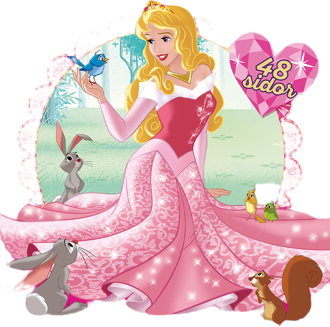 MÅLARBOK PRINSESSOR, från KÄRNAN.