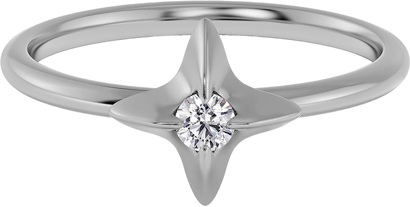 Stellar Ring Steel, från Edblad, i färgen Steel.