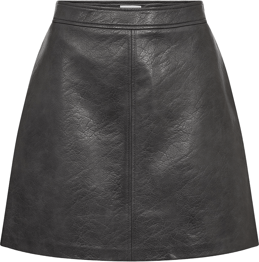 Preston 2 Skirt, från Leveté Room, i färgen Black Oyster.