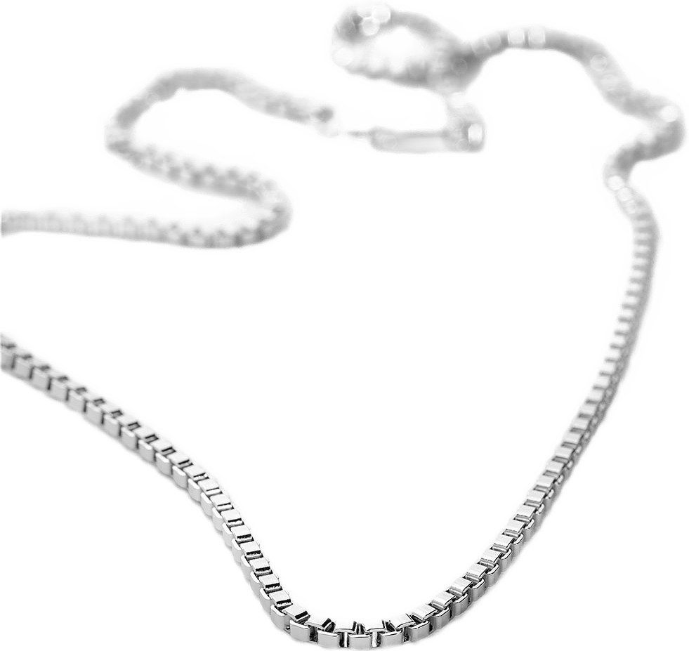 Signature Venezia Chain Necklace, från Charlotte Bonde STHLM, i färgen Silver.