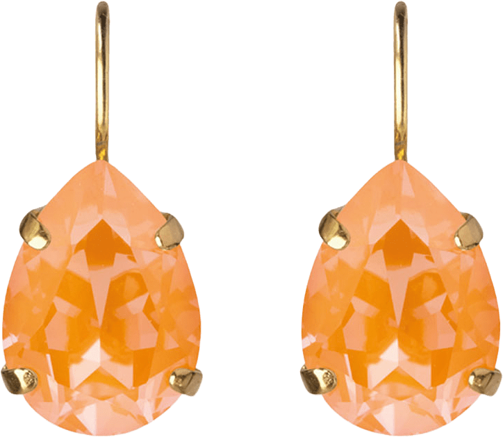 MINI DROP CLASP EARRINGS, från Caroline Svedbom, i färgen Gold.