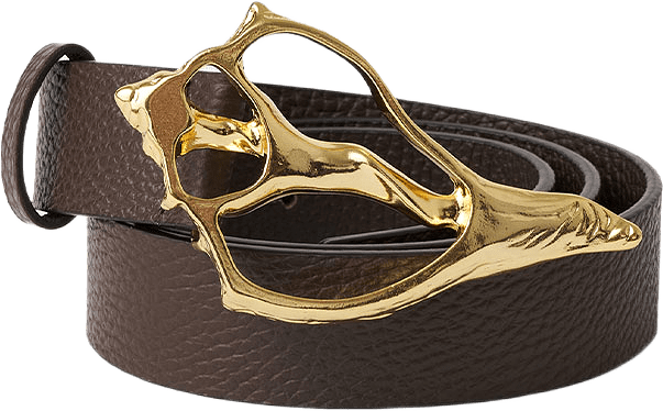 Shell Wide Pebble Belt, från Rodebjer, i färgen Dk Brown/Gold.