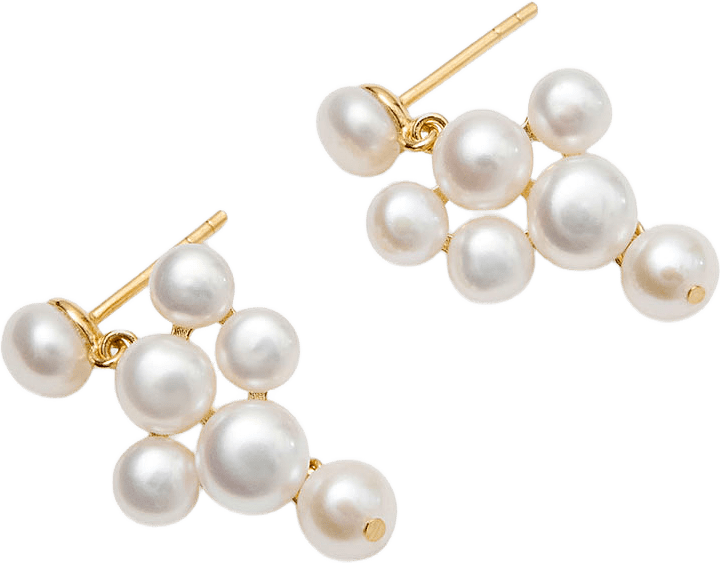 Blossom Earrings, från Pernille Corydon, i färgen Gold Plated Recycled Sterling.