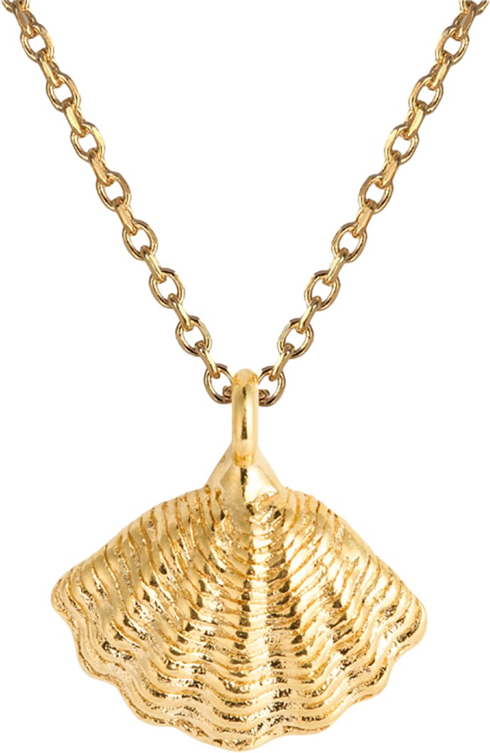 Mira Shell Necklace, från Caroline Svedbom, i färgen Gold.