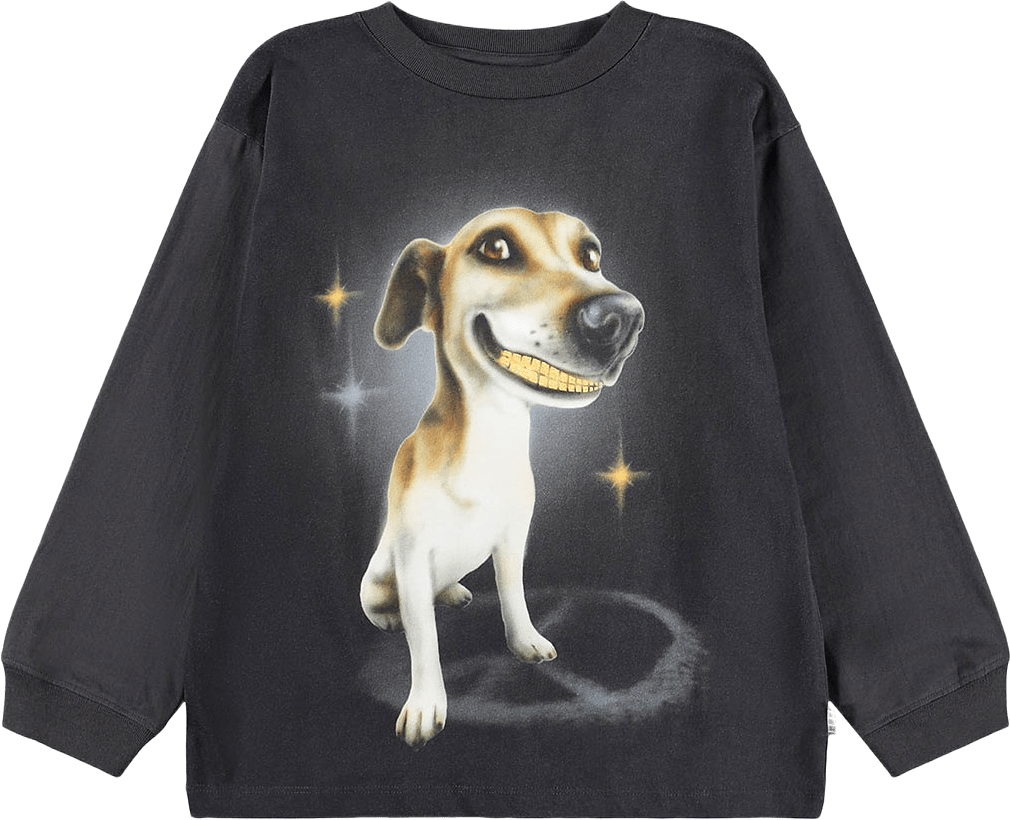Rube T-shirt, från Molo, i färgen Golden Grillz.