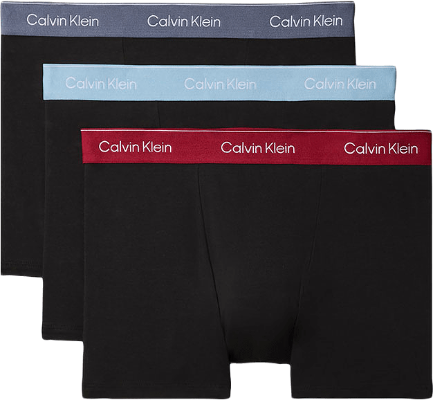 Relaxed Dart Trunk 3-Pack, från Calvin Klein, i färgen Black Bodies W/ Rio Red/Forget Me N.