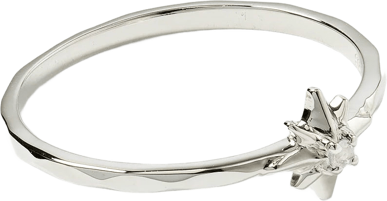 North Star Ring, från Syster P, i färgen Silver.