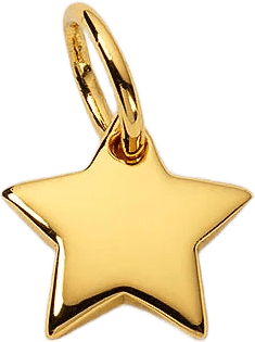 Beloved Star Pendant Pendant, från Syster P, i färgen Gold.