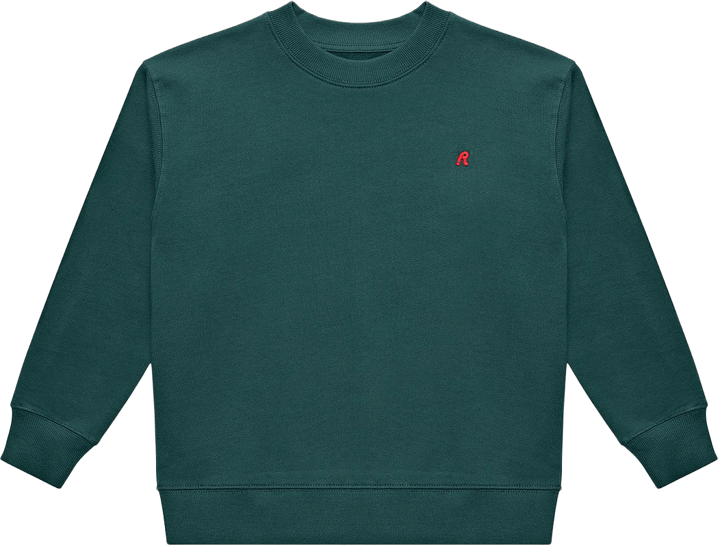Plush Crewneck, från Replay, i färgen Ponderosa Pine.
