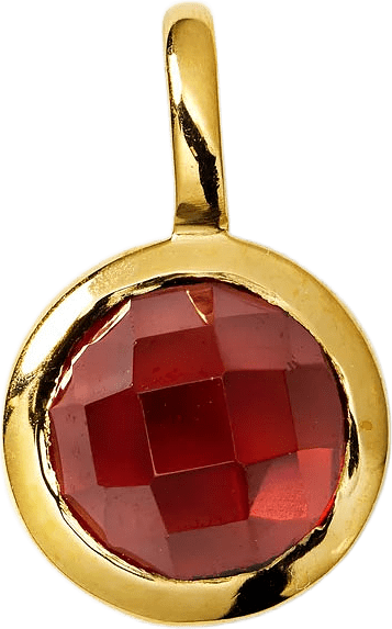 Beloved Birthstone, från Syster P, i färgen January - Garnet Gold.