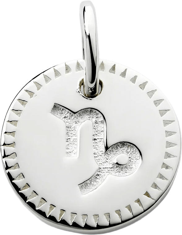 Beloved Zodie, från Syster P, i färgen Capricorn - Silver.
